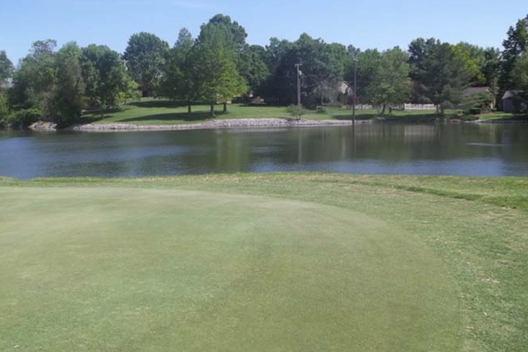 view of golf course green